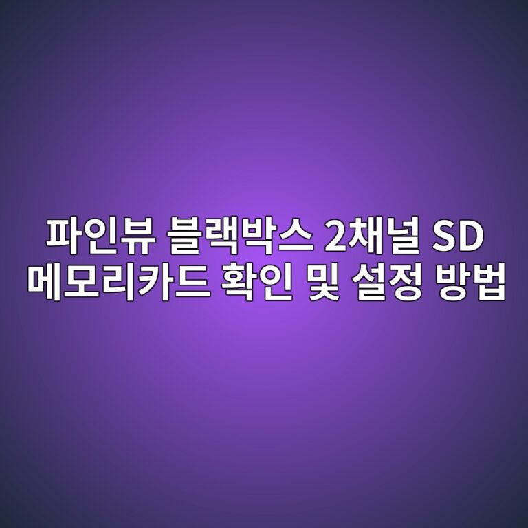 파인뷰 블랙박스 2채널 SD 메모리카드 확인 및 설정 방법1