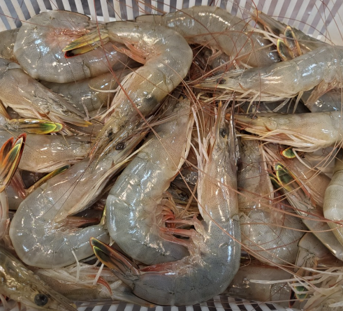 해피라이프 충남 홍성 꽃게 대하 제철 지역 축제 맛집 위치 · 연락처 2 image 124