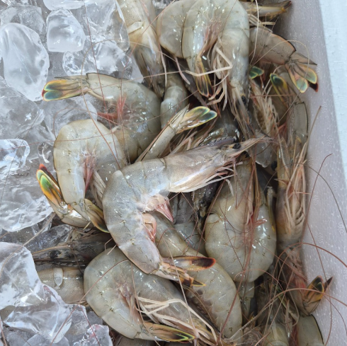 해피라이프 충남 홍성 꽃게 대하 제철 지역 축제 맛집 위치 · 연락처 3 image 125