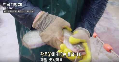 한국기행 경북 의성 흙색요리사 황토메기 메기매운탕 메기불고기 메기구이 덮밥 맛집 위치 · 연락처 5 image 151