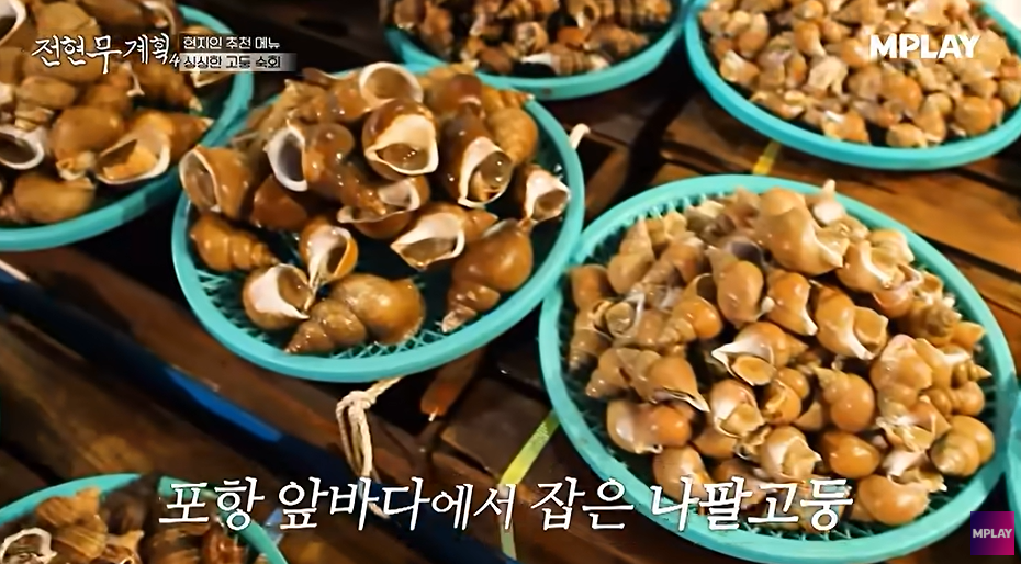 전현무계획4 2AM 포항 개복치 대창구이 수육 요리 맛집 위치 ·연락처 11 image 342