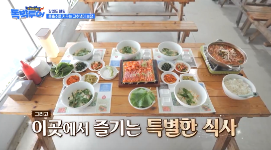 독박투어 철원 고추냉이 농장 송어회 식당 위치 연락처 2 image 4
