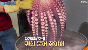 해피라이프 강원도 동해 제철 해산물 문어숙회 택배 주문 연락처 9 해피라이프 강원도 동해 제철 해산물 문어숙회 택배 주문 연락처