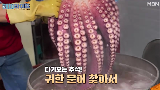해피라이프 강원도 동해 제철 해산물 문어숙회 택배 주문 연락처 3 해피라이프 강원도 동해 제철 해산물 문어숙회 택배 주문 연락처