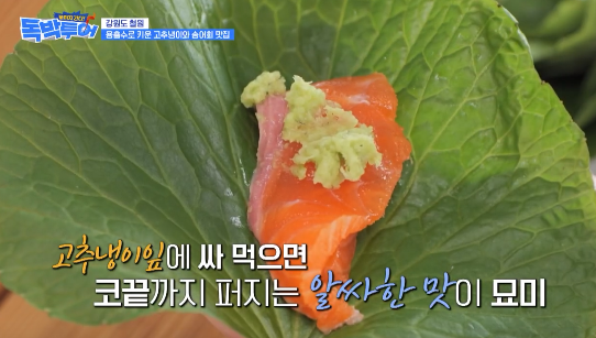 독박투어 철원 고추냉이 농장 송어회 식당 위치 연락처 7 image 7