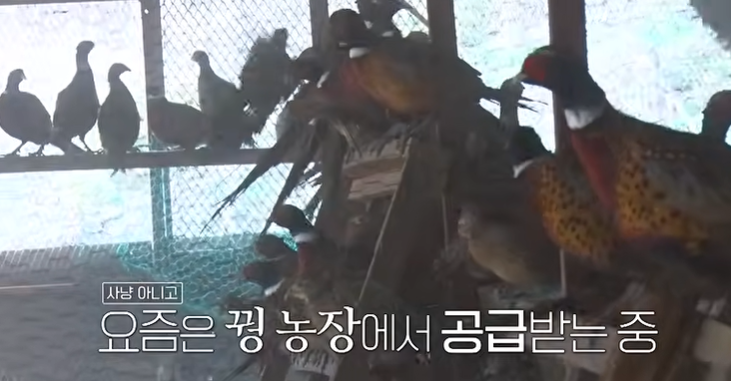 전현무계획4 엄기준 류수영 대전 꿩냉면 꿩냉면집 평양식 냉면 왕만두 맛집 위치 · 연락처 3 image 146
