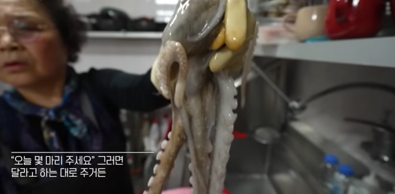 전현무계획4 성리 하루 장한별 사천 산낙지 산낙지볶음 46년 노포 현지인 맛집 위치 · 연락처 4 image 81